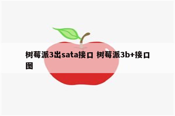 树莓派3出sata接口 树莓派3b+接口图