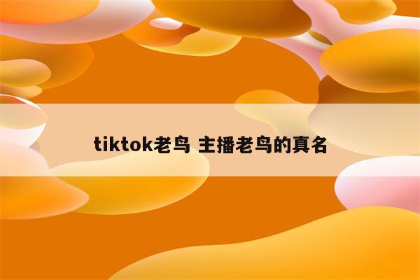 tiktok老鸟 主播老鸟的真名