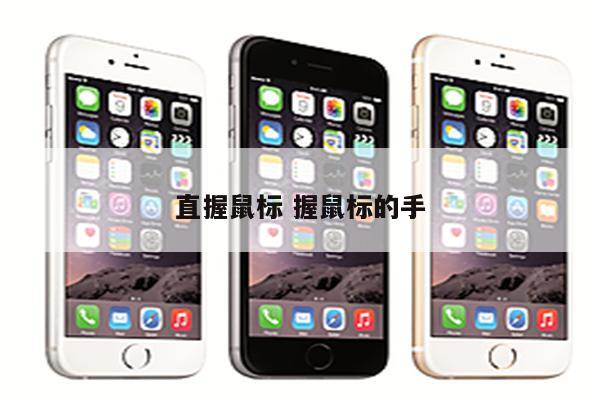 直握鼠标 握鼠标的手