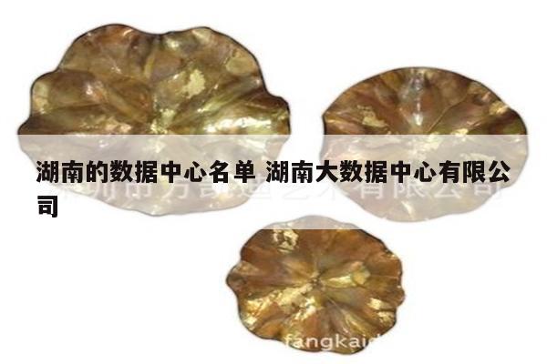 湖南的数据中心名单 湖南大数据中心有限公司