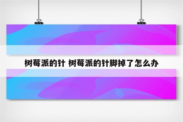 树莓派的针 树莓派的针脚掉了怎么办