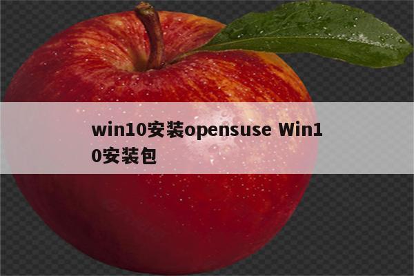 win10安装opensuse Win10安装包