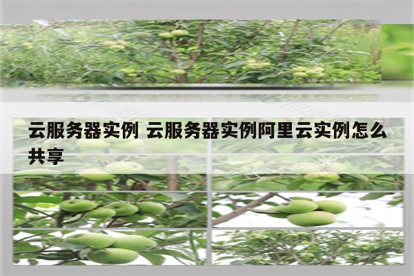 云服务器实例 云服务器实例阿里云实例怎么共享