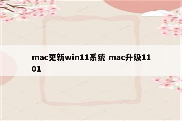 mac更新win11系统 mac升级1101