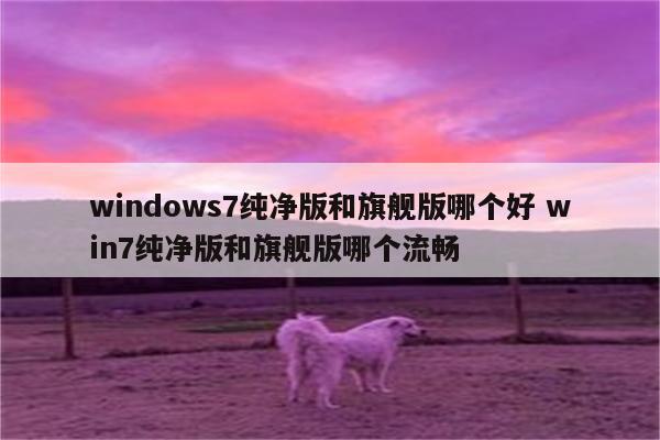 windows7纯净版和旗舰版哪个好 win7纯净版和旗舰版哪个流畅