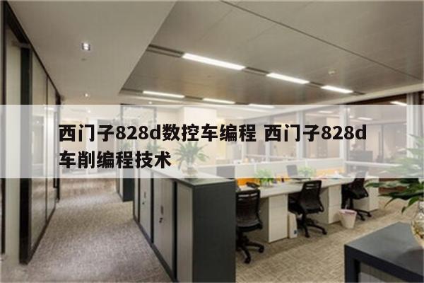 西门子828d数控车编程 西门子828d车削编程技术