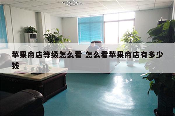 苹果商店等级怎么看 怎么看苹果商店有多少钱