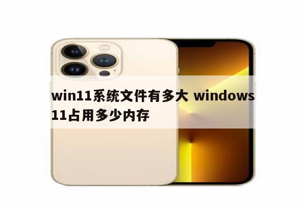 win11系统文件有多大 windows11占用多少内存