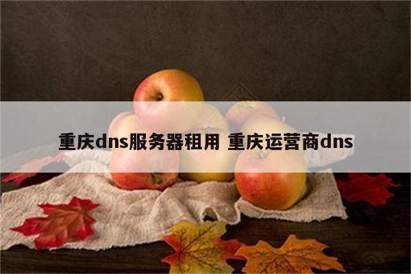 重庆dns服务器租用 重庆运营商dns
