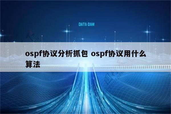 ospf协议分析抓包 ospf协议用什么算法