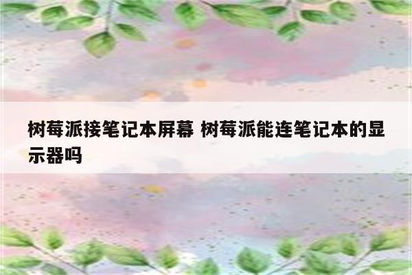 树莓派接笔记本屏幕 树莓派能连笔记本的显示器吗