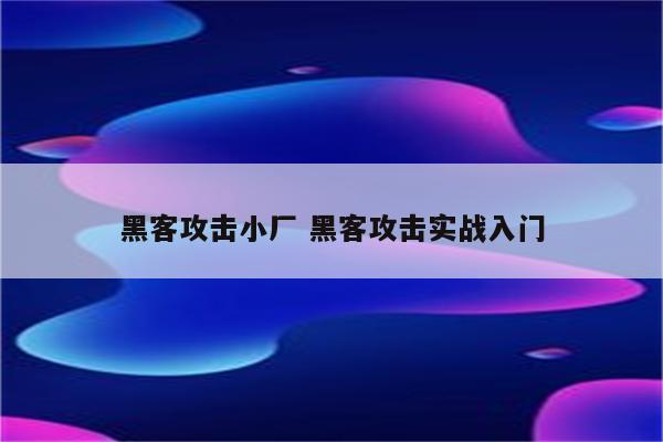 黑客攻击小厂 黑客攻击实战入门