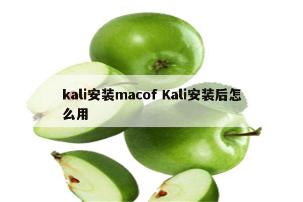 kali安装macof Kali安装后怎么用