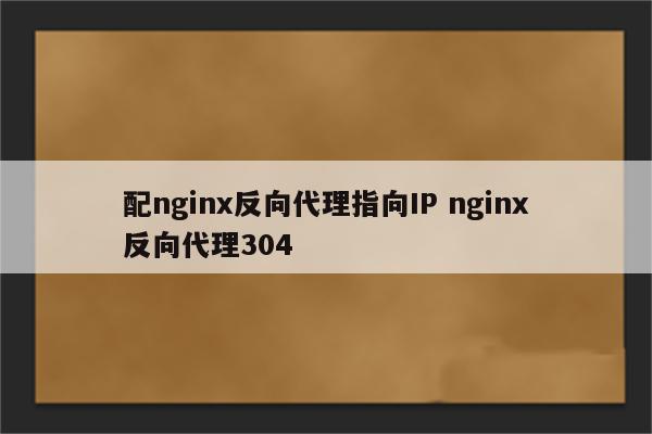 配nginx反向代理指向IP nginx反向代理304