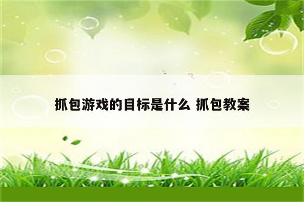 抓包游戏的目标是什么 抓包教案