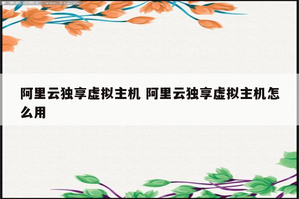 阿里云独享虚拟主机 阿里云独享虚拟主机怎么用
