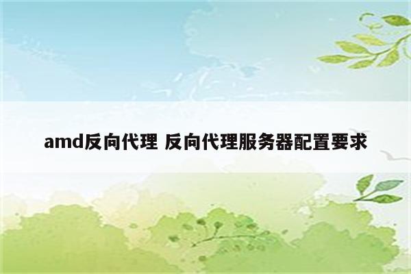 amd反向代理 反向代理服务器配置要求