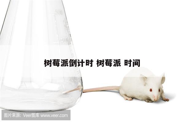 树莓派倒计时 树莓派 时间