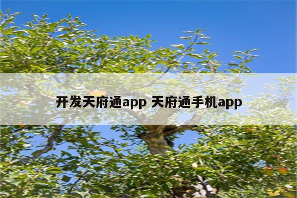 开发天府通app 天府通手机app