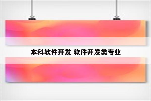 本科软件开发 软件开发类专业