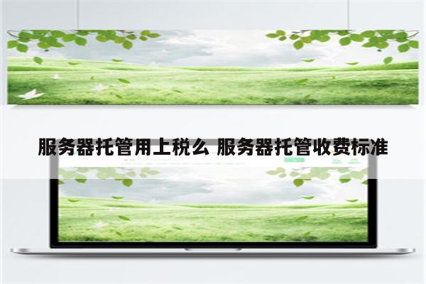 服务器托管用上税么 服务器托管收费标准