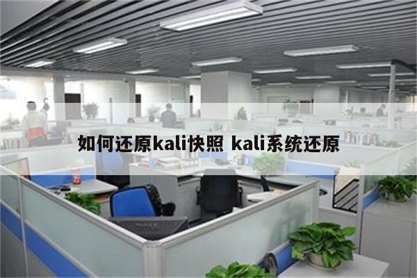 如何还原kali快照 kali系统还原