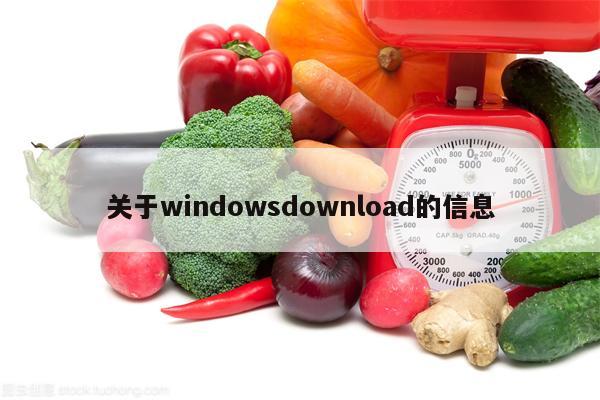 关于windowsdownload的信息