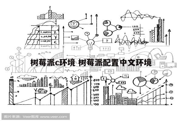 树莓派c环境 树莓派配置中文环境