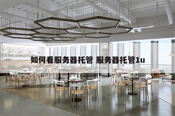 如何看服务器托管 服务器托管1u