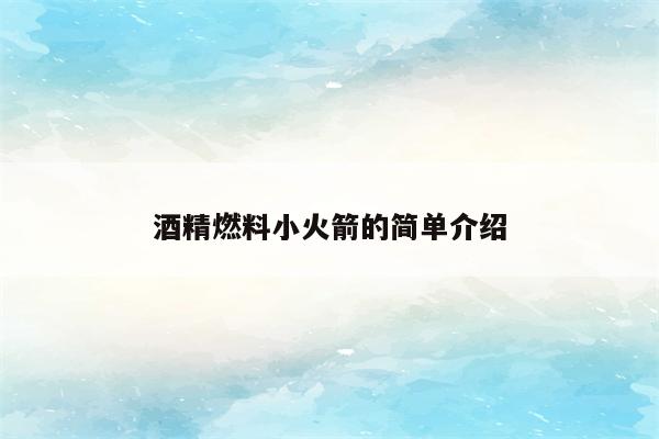 酒精燃料小火箭的简单介绍