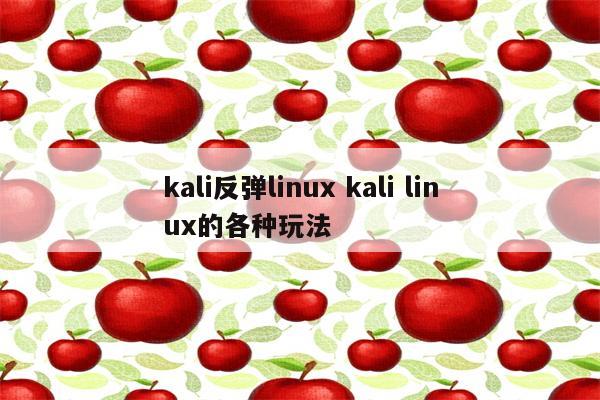 kali反弹linux kali linux的各种玩法