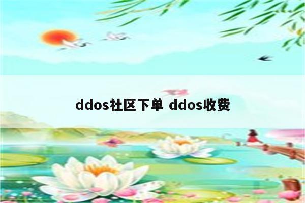 ddos社区下单 ddos收费