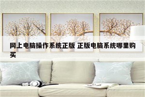 网上电脑操作系统正版 正版电脑系统哪里购买