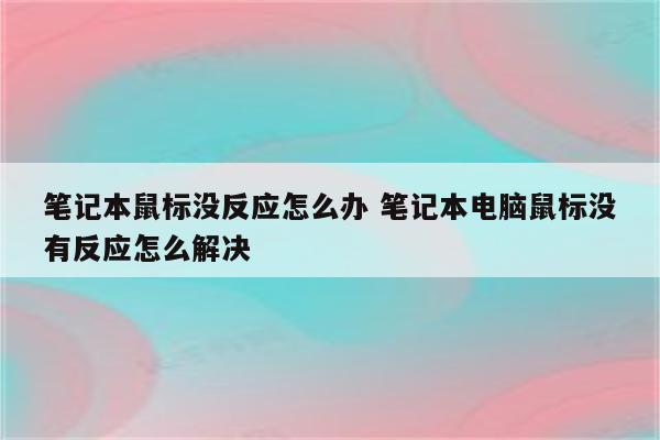 笔记本鼠标没反应怎么办 笔记本电脑鼠标没有反应怎么解决