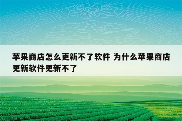 苹果商店怎么更新不了软件 为什么苹果商店更新软件更新不了