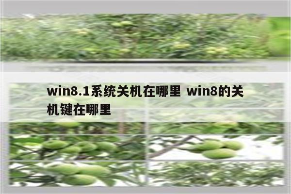 win8.1系统关机在哪里 win8的关机键在哪里