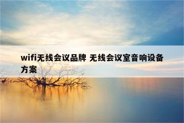 wifi无线会议品牌 无线会议室音响设备方案