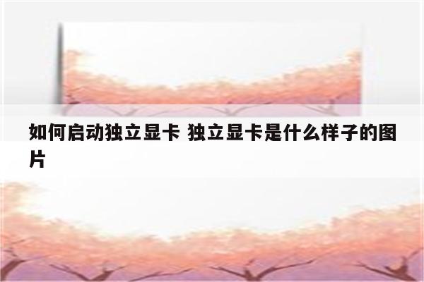 如何启动独立显卡 独立显卡是什么样子的图片