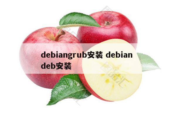 debiangrub安装 debian deb安装