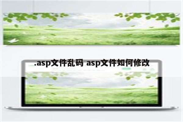 .asp文件乱码 asp文件如何修改