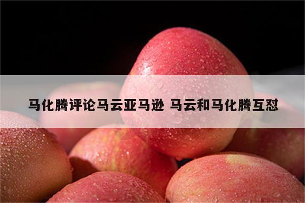 马化腾评论马云亚马逊 马云和马化腾互怼