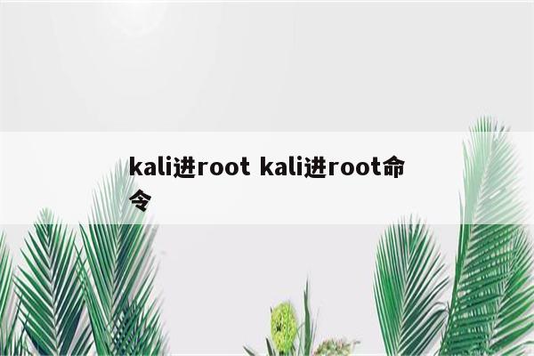 kali进root kali进root命令