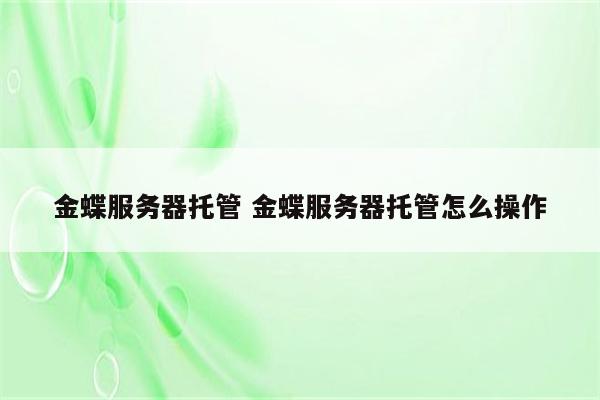 金蝶服务器托管 金蝶服务器托管怎么操作