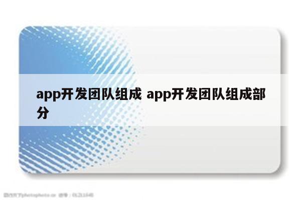 app开发团队组成 app开发团队组成部分