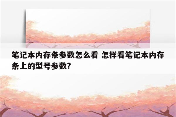 笔记本内存条参数怎么看 怎样看笔记本内存条上的型号参数?