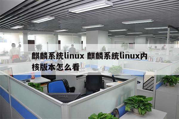 麒麟系统linux 麒麟系统linux内核版本怎么看