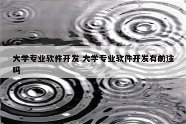 大学专业软件开发 大学专业软件开发有前途吗