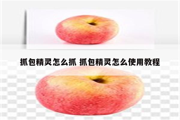 抓包精灵怎么抓 抓包精灵怎么使用教程