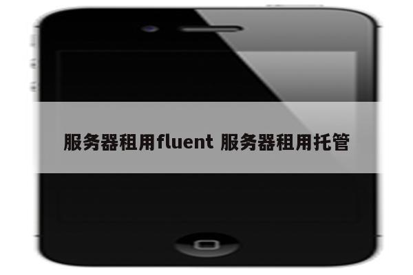 服务器租用fluent 服务器租用托管