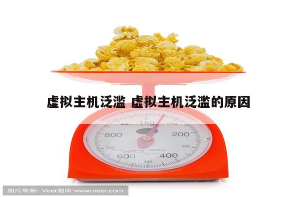 虚拟主机泛滥 虚拟主机泛滥的原因